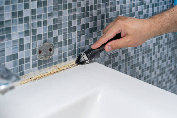 Best Mold Damage Repair  in Boonville, CA